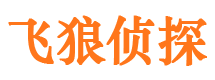 江陵侦探公司